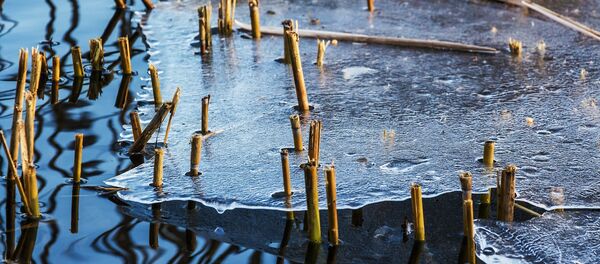 Лед, архивное фото - Sputnik Беларусь