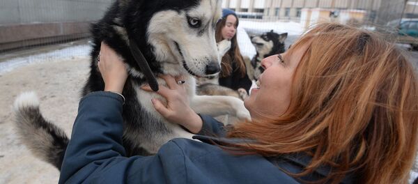 Хаски на утреннике в Доме Москвы в Минске - Sputnik Беларусь