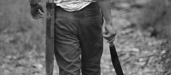 Мужчина с мачете, архивное фото - Sputnik Беларусь