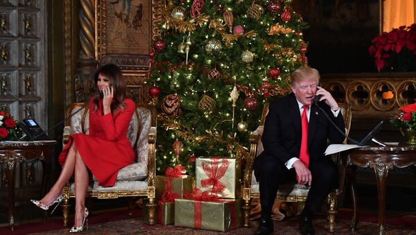 Дональд Трам и Меланья Трамп возле рождественской ели - Sputnik Беларусь