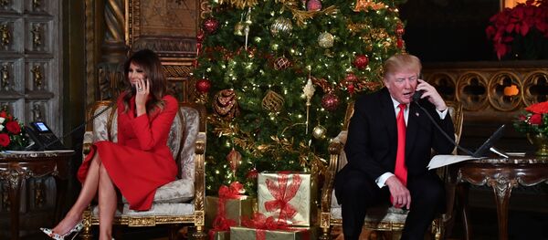 Дональд Трам и Меланья Трамп возле рождественской ели - Sputnik Беларусь