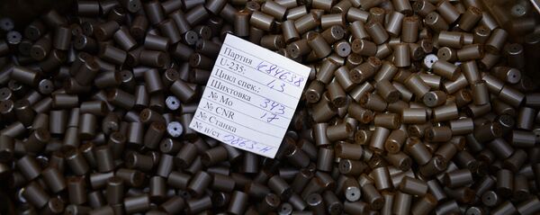 Ядзернае паліва, архіўнае фота - Sputnik Беларусь