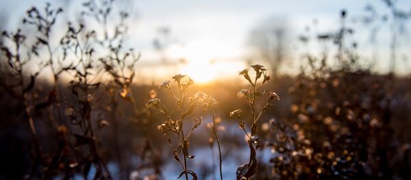 Зімовы захад сонца Зімовы захад сонца - Sputnik Беларусь
