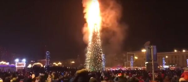 Новогодняя елка сгорела в Южно-Сахалинске, видео - Sputnik Беларусь