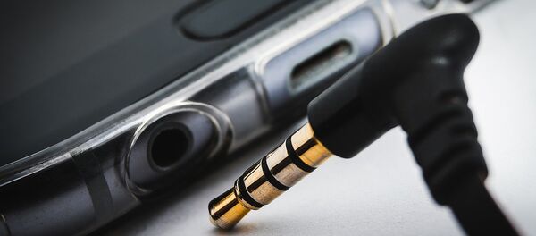 Гняздо і штэкер навушнікаў, архіўнае фота - Sputnik Беларусь