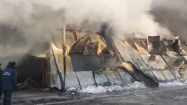 Спасательные работы на месте ликвидации пожара в обувном цехе под Новосибирском - Sputnik Беларусь