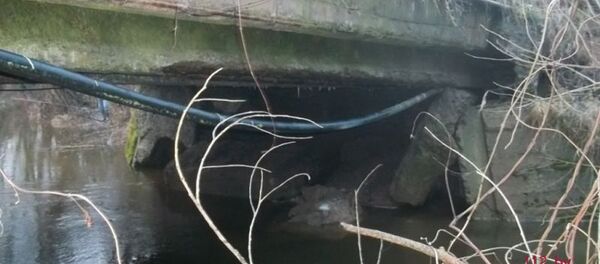 Мост в Чашниках - Sputnik Беларусь