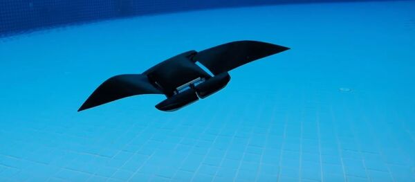 Дрон-манта Дрон-манта - Sputnik Беларусь