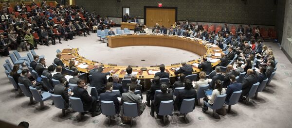 Заседание ООН по Ирану 5 января 2018 года Заседание ООН по Ирану 5 января 2018 года - Sputnik Беларусь