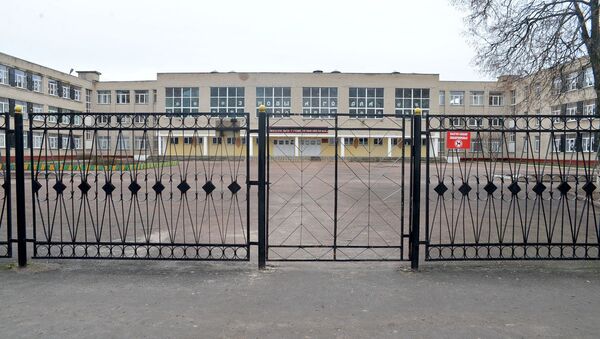 Гимназия в Гомеле, на территории которой погиб подросток - Sputnik Беларусь