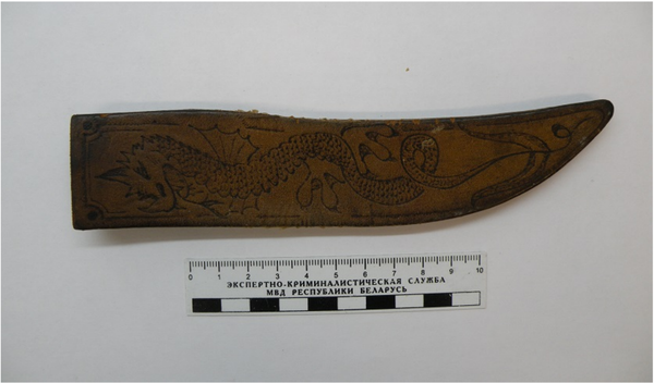 Ножны, найденные на месте преступления - Sputnik Беларусь