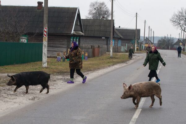 Аюсь у хлеў! – кричат женщины - Sputnik Беларусь