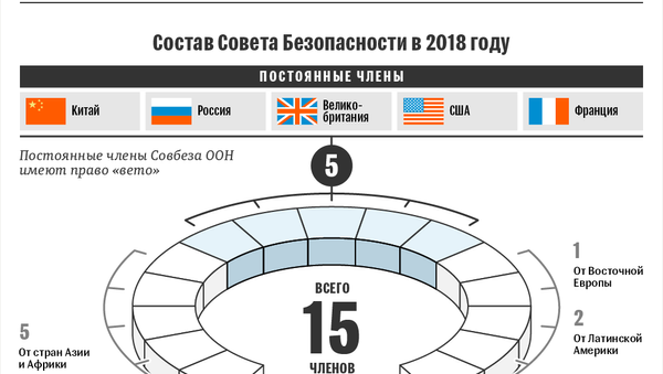 Совет Безопасности ООН в 2018 году – инфографика на sputnik.by - Sputnik Беларусь