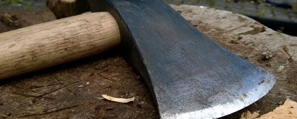 Топор, архивное фото Топор, архивное фото - Sputnik Беларусь