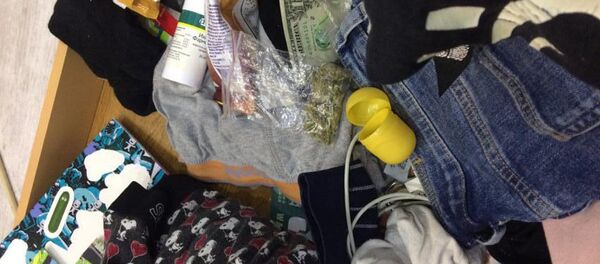 Обнаруженные при обыске наркотики - Sputnik Беларусь