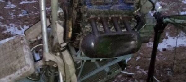 Мотодельтаплан, разбившийся под Ушачами - Sputnik Беларусь