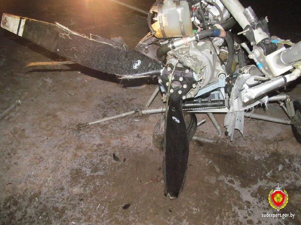 Рухнувший под Ушачами мотодельтаплан - Sputnik Беларусь