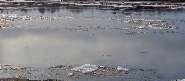 Место, где была понтонная переправа через Припять - Sputnik Беларусь