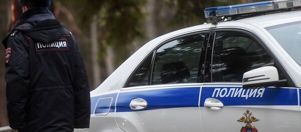 Сотрудник полиции возле служебного автомобиля, архивное фото - Sputnik Беларусь