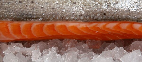 Мясо лосося - Sputnik Беларусь