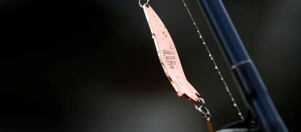 Рыбалка в Шотландии - Sputnik Беларусь