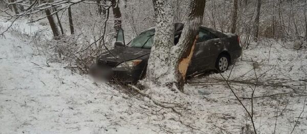 Последствия ДТП в Каменецком районе - Sputnik Беларусь