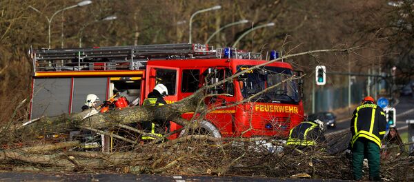 Спасатели убирают последствия циклона Фридерике в Германии - Sputnik Беларусь