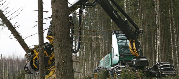 Лесозаготовительная машина Харвестер 1270D - Sputnik Беларусь