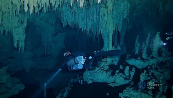 Самую большую на планете подводную пещеру нашли в Мексике - Sputnik Беларусь