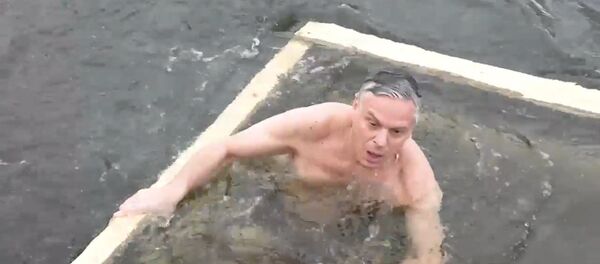 Крещенское купание посла США в РФ - Sputnik Беларусь