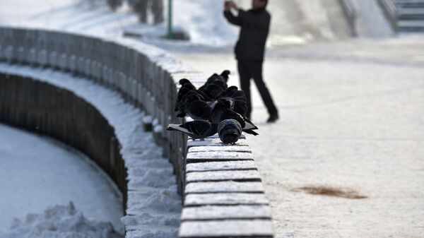 Набережная Свислочи - Sputnik Беларусь