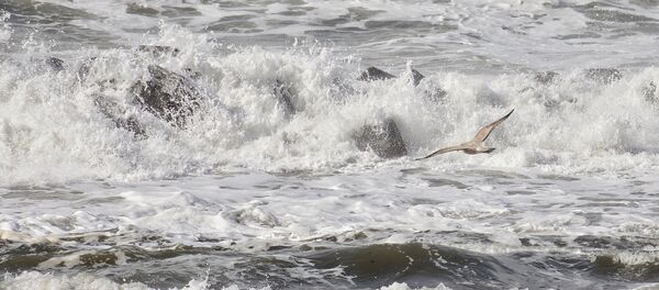 Шторм на море, архивное фото Шторм на море, архивное фото - Sputnik Беларусь