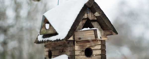 Кормушка для птиц в парке, архивное фото - Sputnik Беларусь