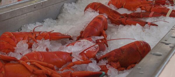 Лобстеры во льду Лобстеры во льду - Sputnik Беларусь