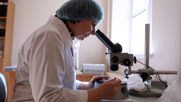 Исследование клещей в паразитологической лаборатории - Sputnik Беларусь