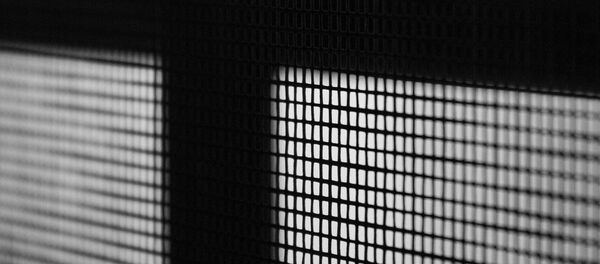 Москитная сеть Москитная сеть - Sputnik Беларусь