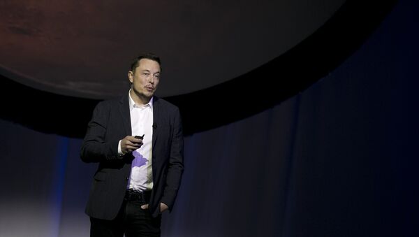 Глава американской компании SpaceX и гендиректор разработчика электромобилей Tesla Илон Маск - Sputnik Беларусь