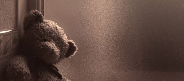 Брошенный плюшевый медвежонок Брошенный плюшевый медвежонок - Sputnik Беларусь
