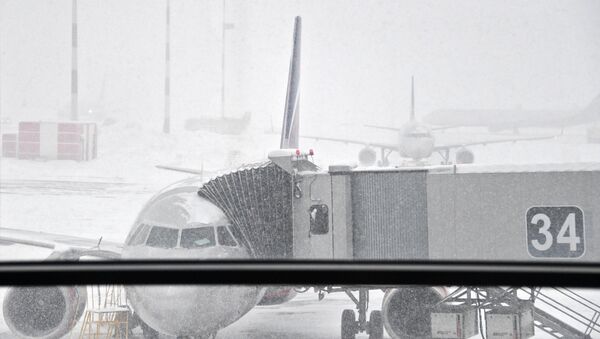 Самолет в московском аэропорту во время снегопада - Sputnik Беларусь