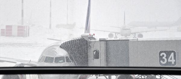 Самолет в московском аэропорту во время снегопада - Sputnik Беларусь