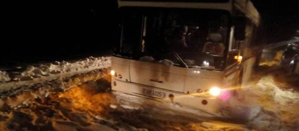 Автобус с пассажирами застрял в снежном заносе в Ветковском районе - Sputnik Беларусь