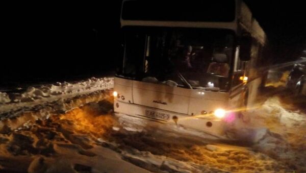 Автобус с пассажирами застрял в снежном заносе в Ветковском районе - Sputnik Беларусь