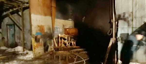 Пожар на пилораме в Борисовском районе Пожар на пилораме в Борисовском районе - Sputnik Беларусь