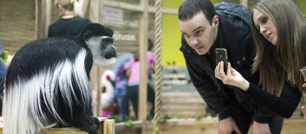 Посетители контактного зоопарка - Sputnik Беларусь