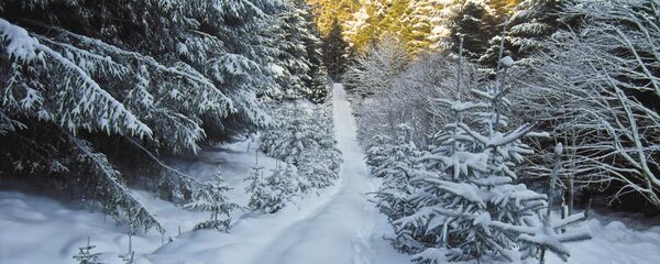 Следы на снегу, архивное фото - Sputnik Беларусь