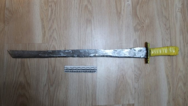 Самодельный меч, которым 17-летний подросток убил свою мать - Sputnik Беларусь