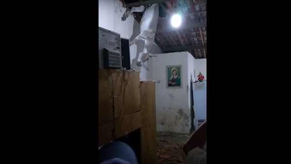 Осел упал с потолка в Бразилии, видео - Sputnik Беларусь