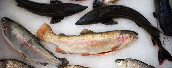 Рыба на прилавке, архивное фото - Sputnik Беларусь