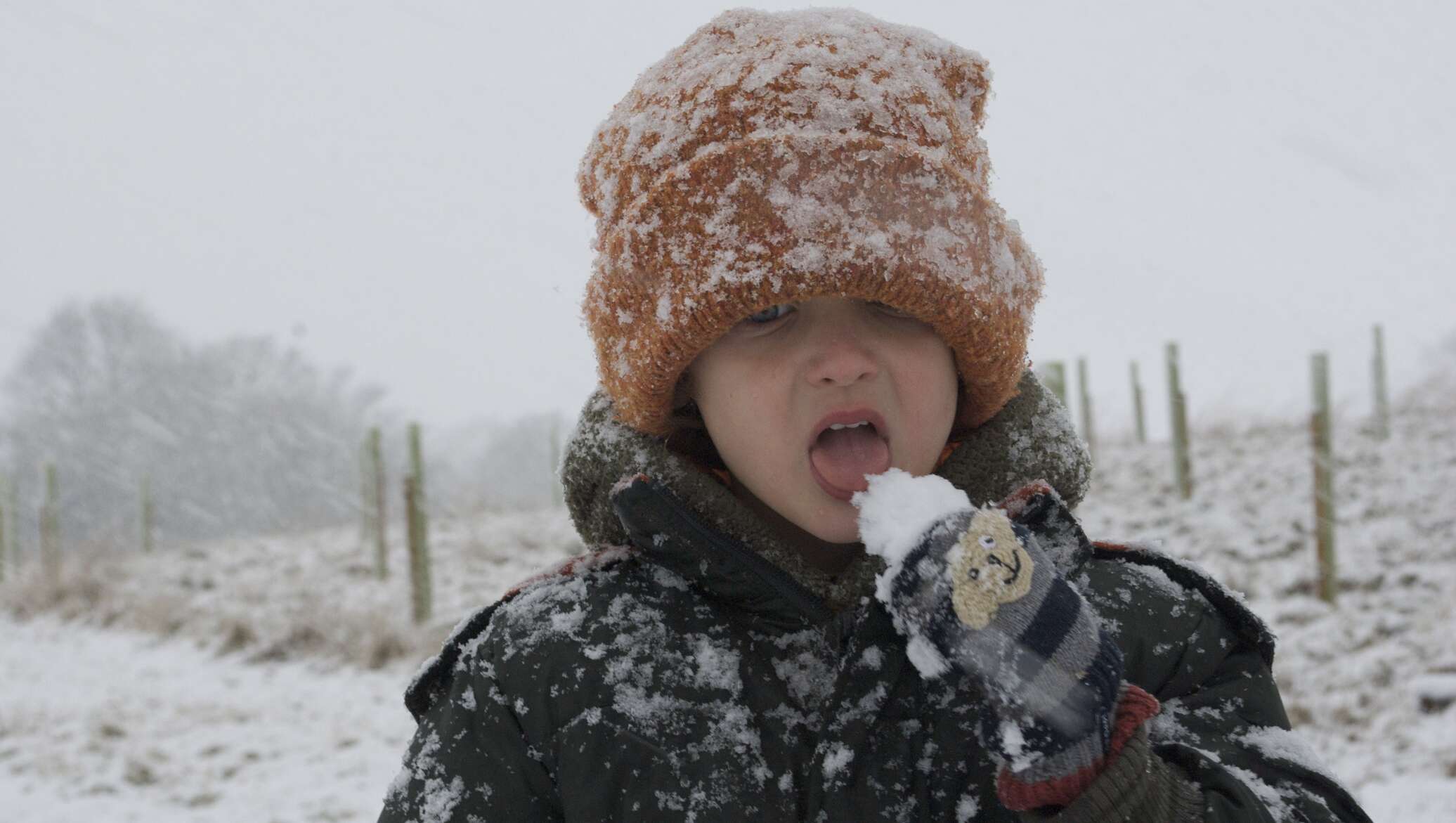 Снежная не твой ребенок читать. Ребенок ест снег. Кушать снег. Мальчик зима. Дети в снегу.