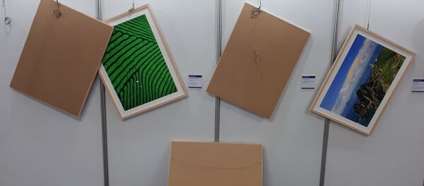 Выставка фотохудожника в Пхенчхане Выставка фотохудожника в Пхенчхане - Sputnik Беларусь